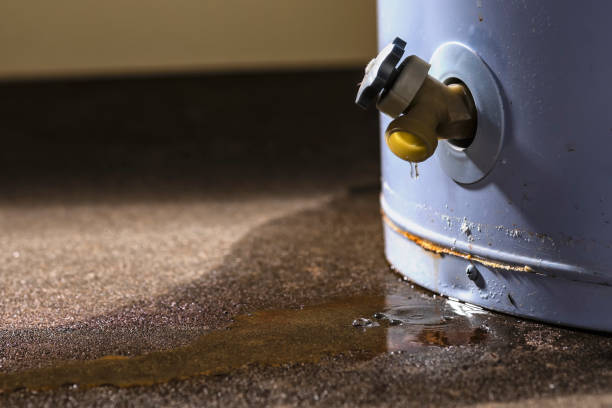 Best Water damage restoration near me  in Fennville, MI