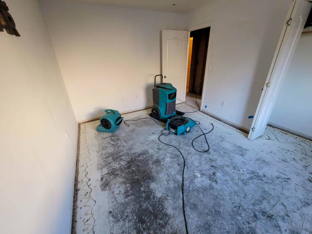  Fennville, MI Water damage restoration Pros