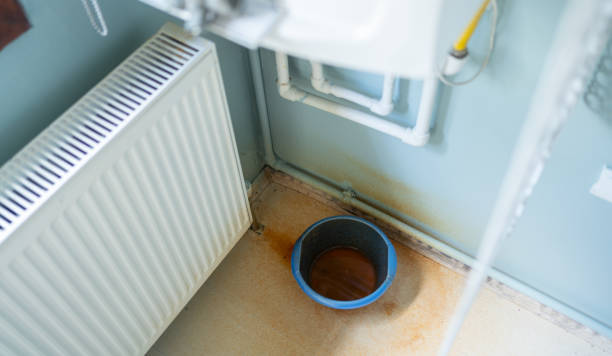 Best Flooded house restoration  in Fennville, MI