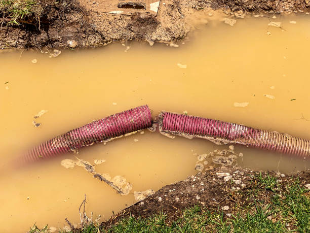 Best Water damage contractors near me  in Fennville, MI